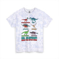 Music for Dinosaurs Tie-Dye adult tee